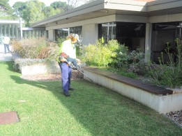 Turf Maintenance